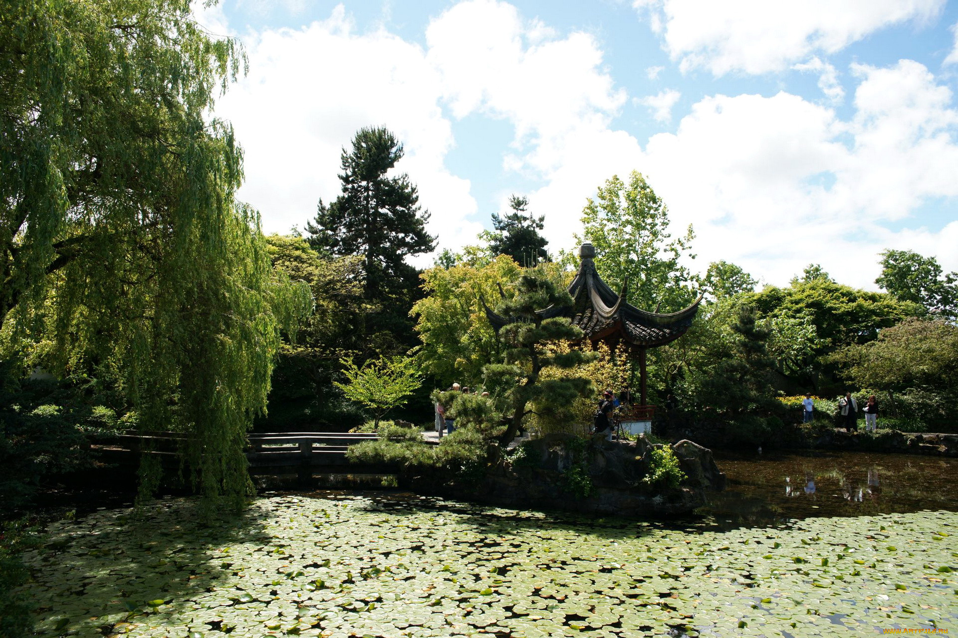 chinese, gardens, , vancouver, , 